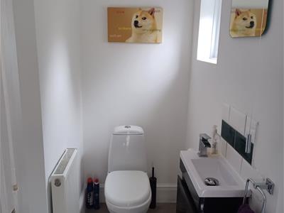 Picture 7
